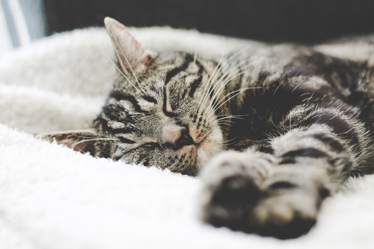 The Science Behind Better Sleep and Its Benefits